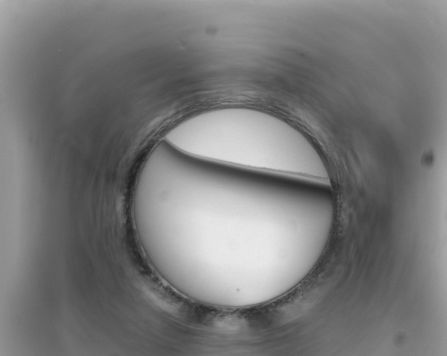 X0000095120258200712070950