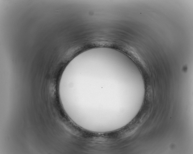 X0000095120259200712070950