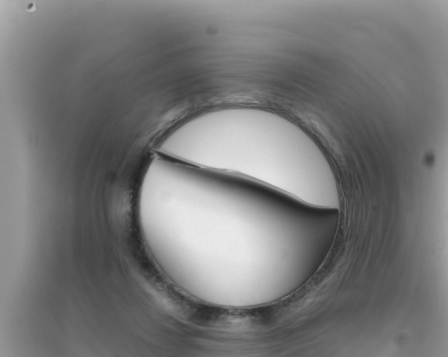 X0000095120260200712070950