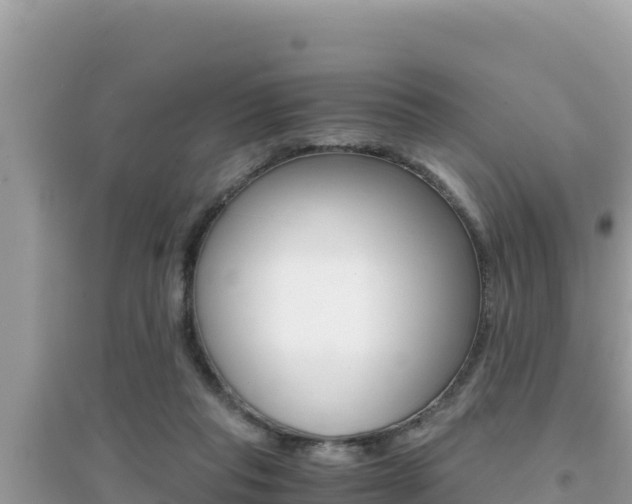 X0000095120261200712070950