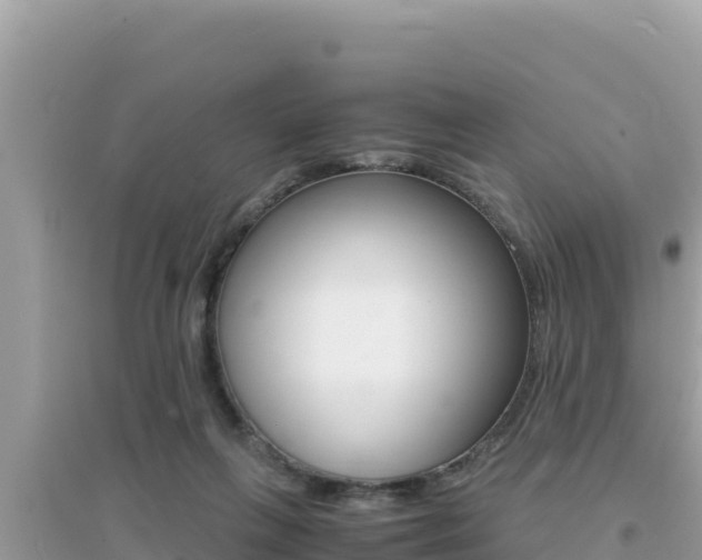 X0000095120263200712070950