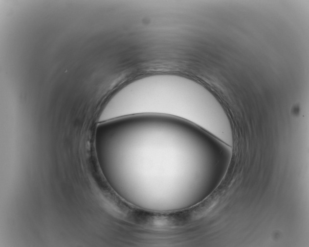 X0000095120264200712070950