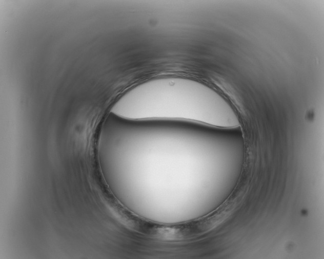 X0000095120265200712070950