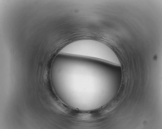 X0000095120266200712070950