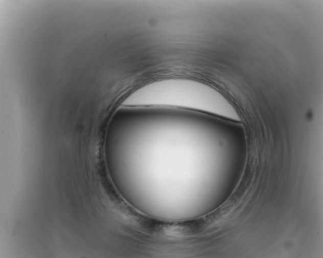 X0000095120268200712070950