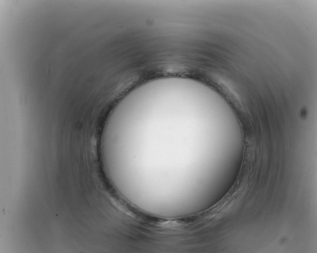 X0000095120269200712070950
