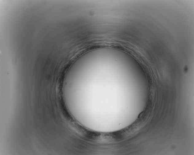 X0000095120270200712070950