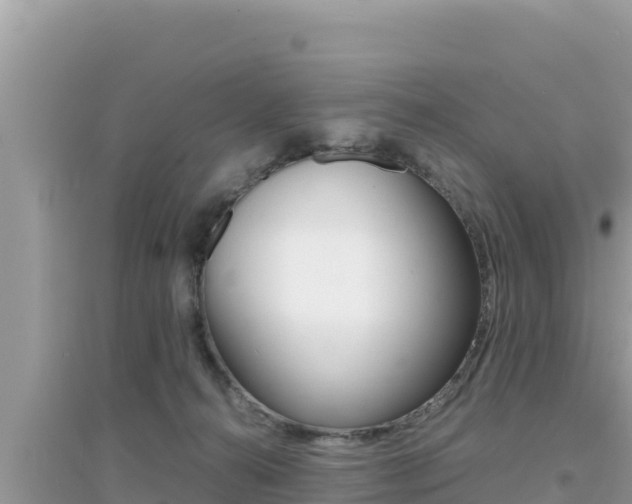 X0000095120272200712070950