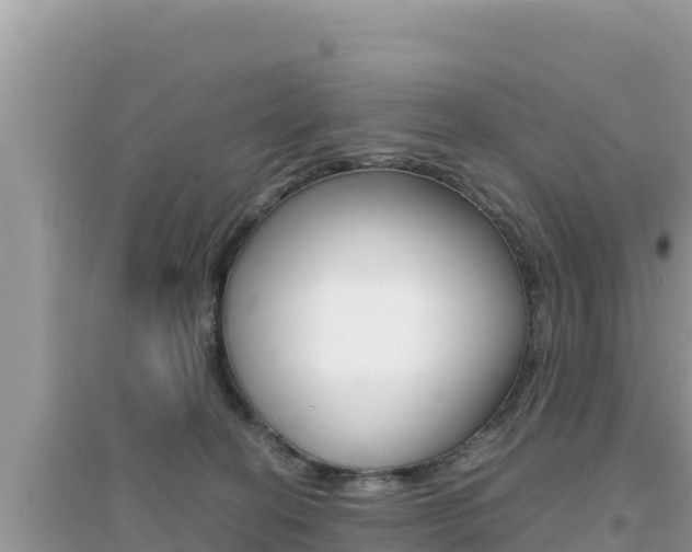 X0000095120274200712070950