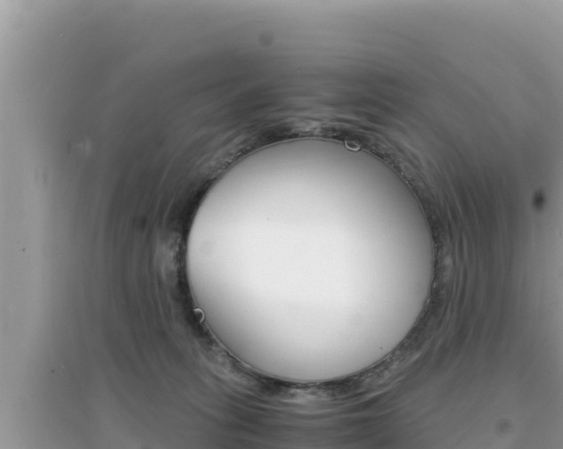 X0000095120275200712070950