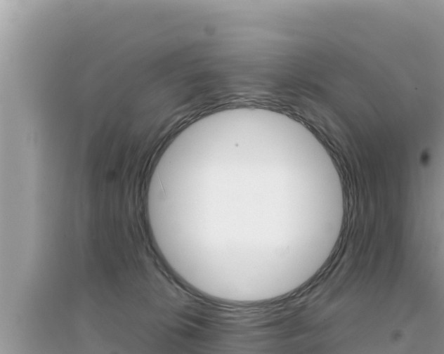 X0000095120276200712070950