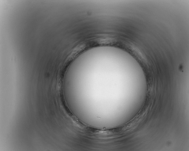 X0000095120277200712070950