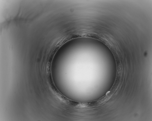 X0000095120280200712070950