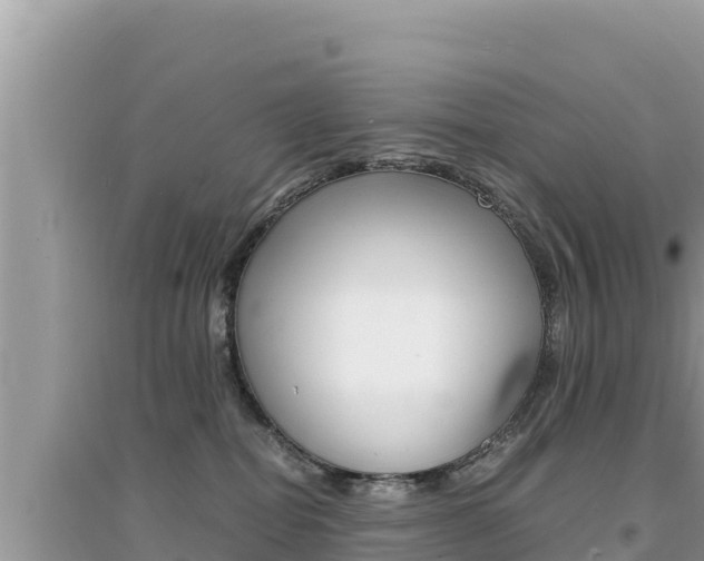 X0000095120282200712070950