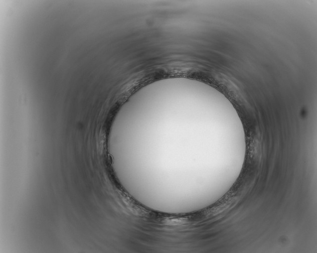 X0000095120283200712070950