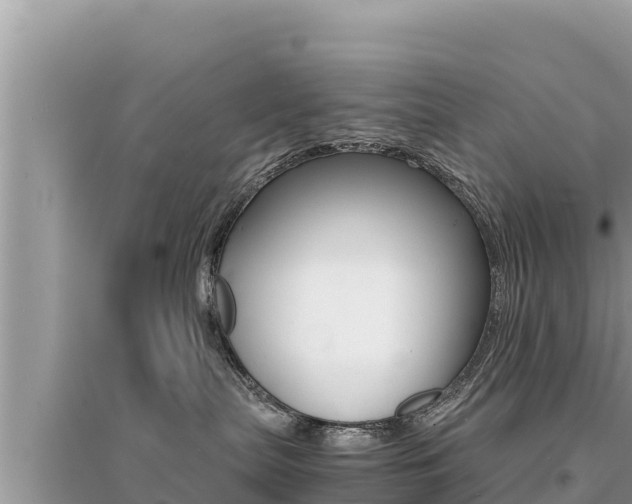 X0000095120287200712070950