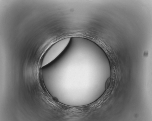 X0000095120290200712070950