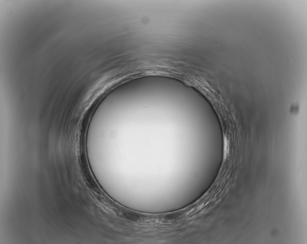 X0000095120291200712070950
