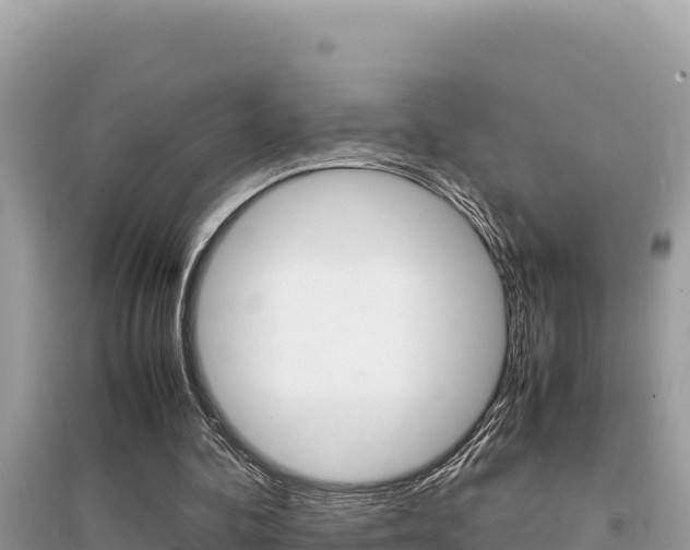 X0000095120292200712070950