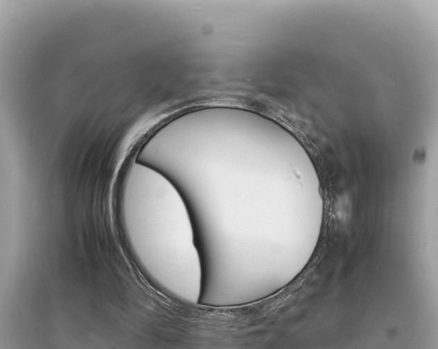 X0000095120294200712070950