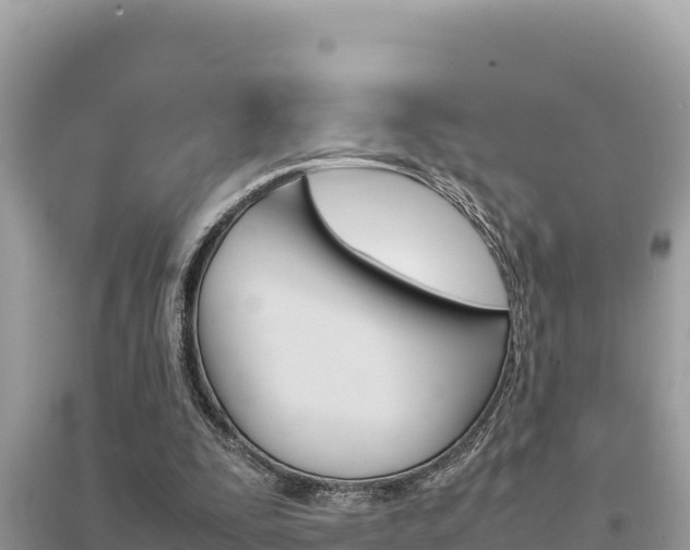 X0000095120295200712070950