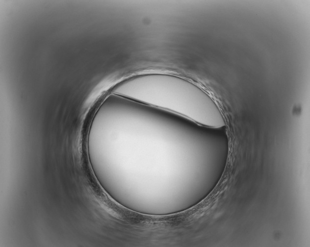 X0000095120296200712070950