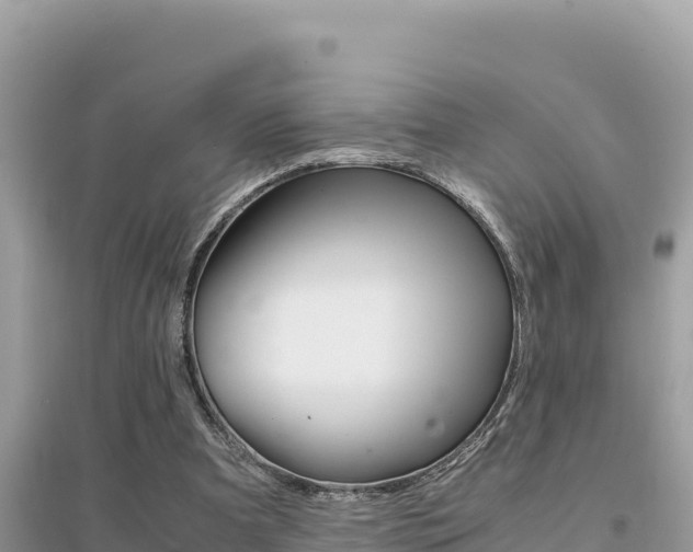 X0000095120297200712070950