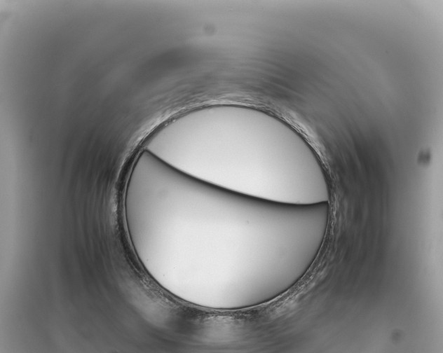 X0000095120298200712070949