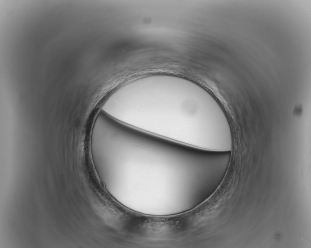 X0000095120299200712070949