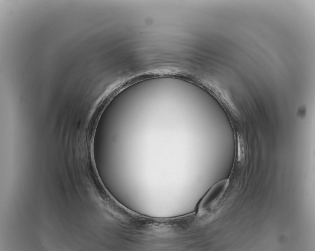 X0000095120300200712070949