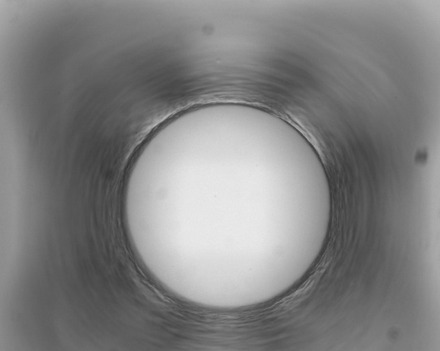 X0000095120301200712070949