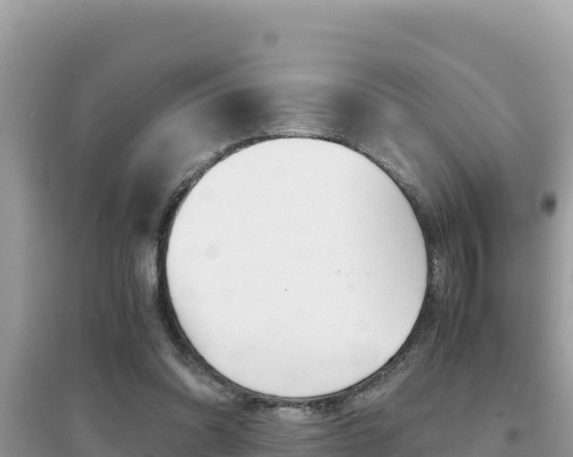 X0000095120302200712070949