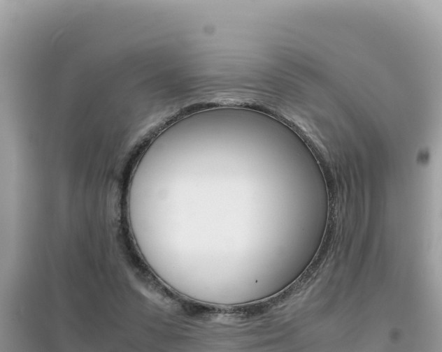 X0000095120303200712070949