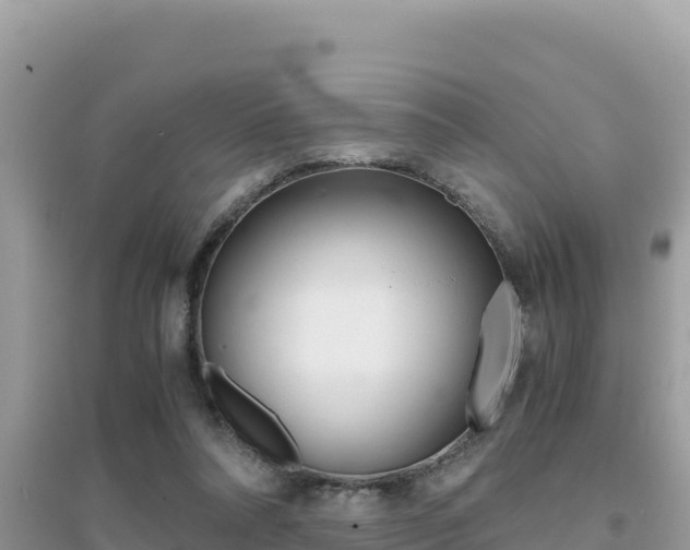 X0000095120304200712070949