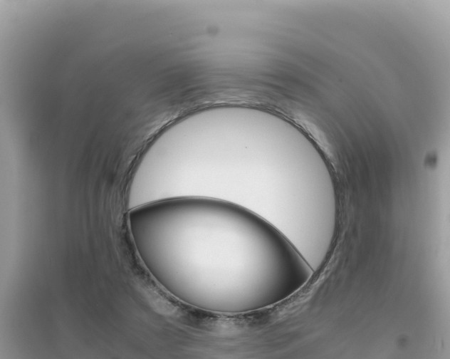X0000095120305200712070949