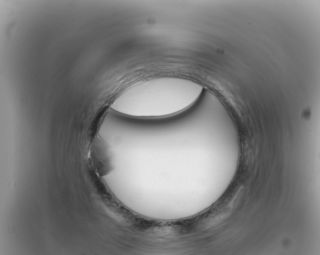 X0000095120307200712070949