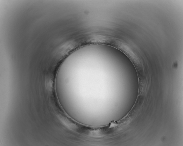 X0000095120309200712070949