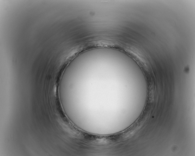 X0000095120310200712070949