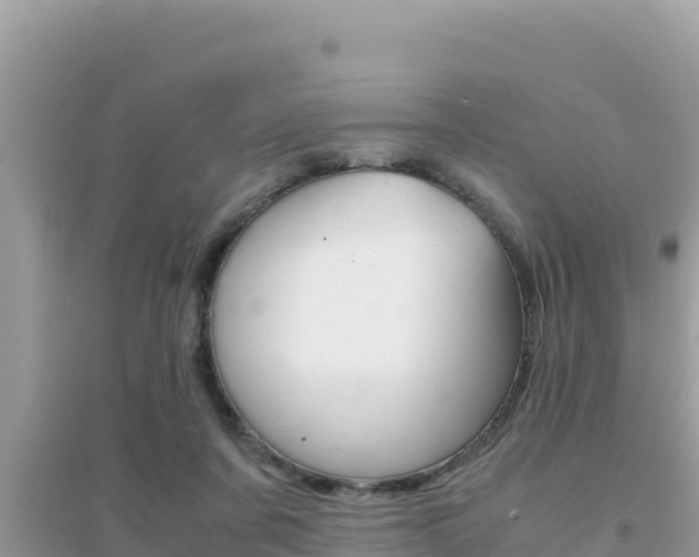 X0000095120311200712070949