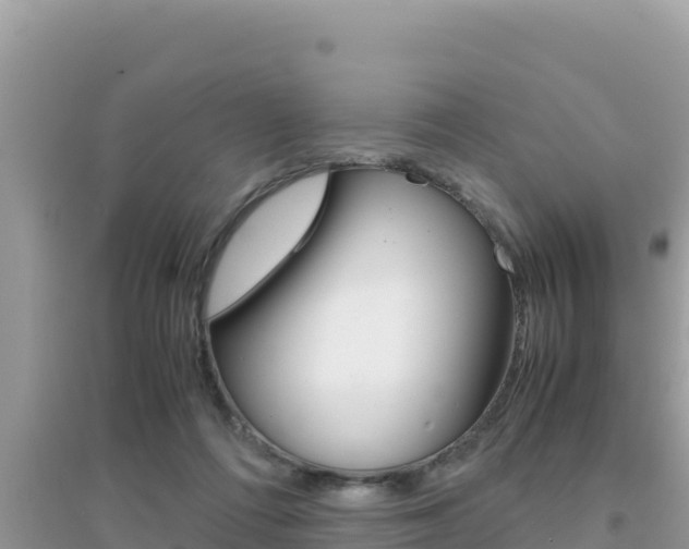 X0000095120312200712070949