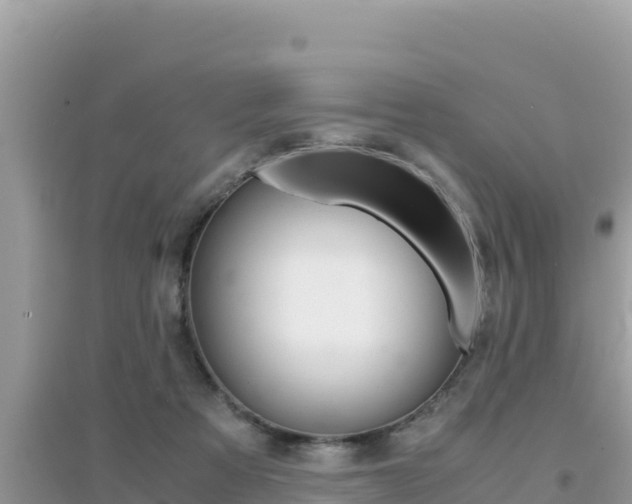 X0000095120313200712070949