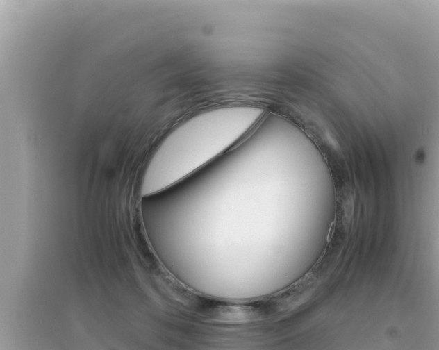 X0000095120316200712070949