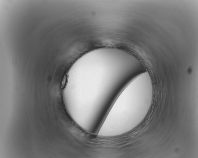 X0000095120317200712070949