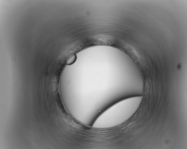 X0000095120318200712070949