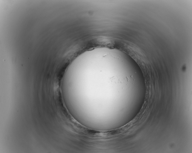 X0000095120320200712070949