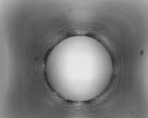 X0000095120321200712070949