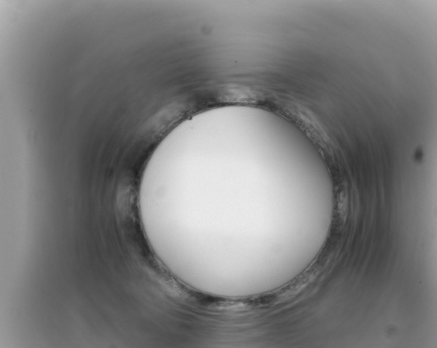 X0000095120322200712070949