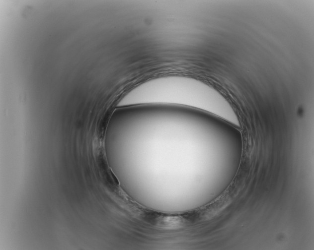 X0000095120324200712070949