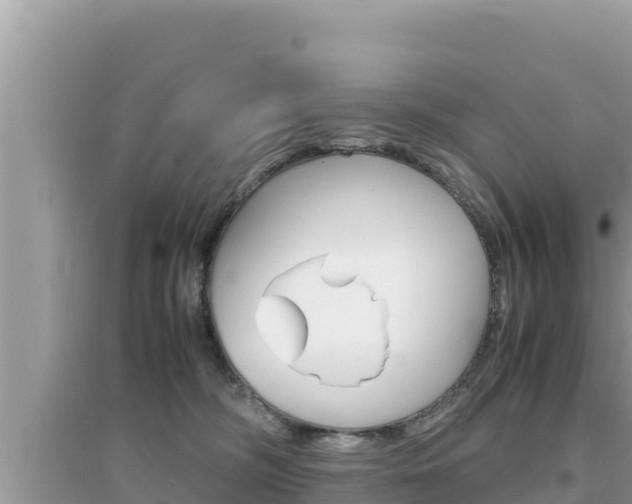 X0000095120326200712070949