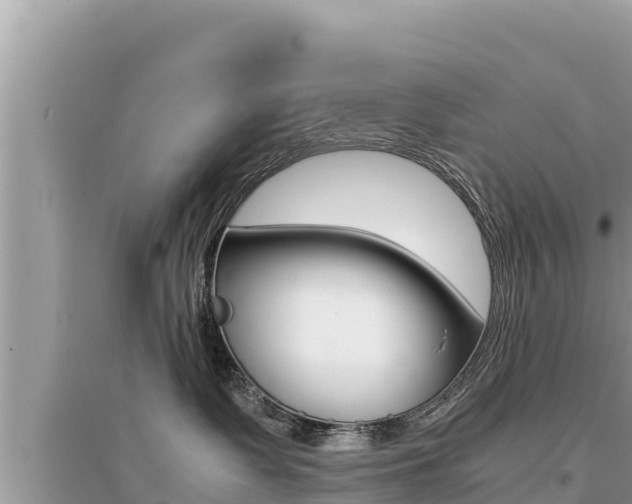 X0000095120335200712070949